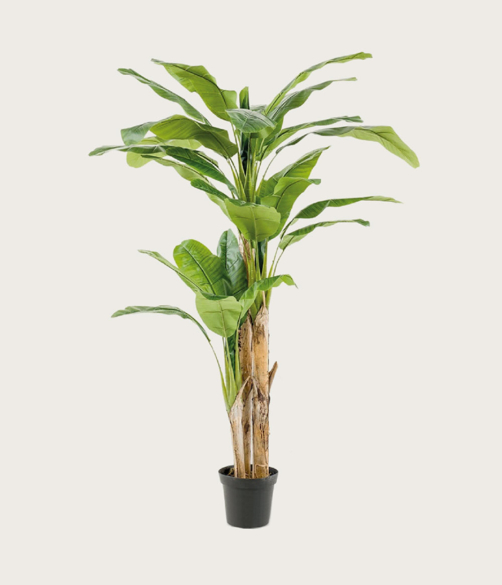 Planta artificial Bananera - Konzept Store®